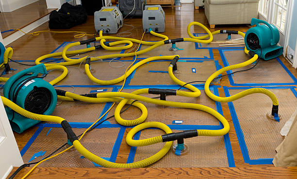 Professional Sewage Cleanup technician working in Saint Albans, ME